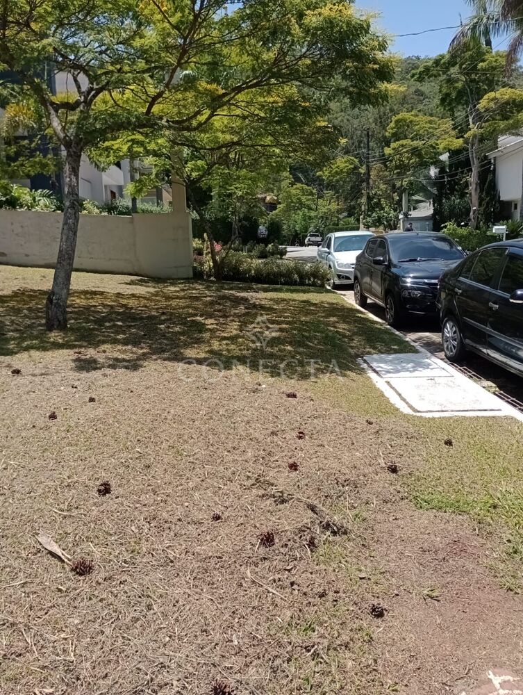 Terreno, 636 m² - Foto 6
