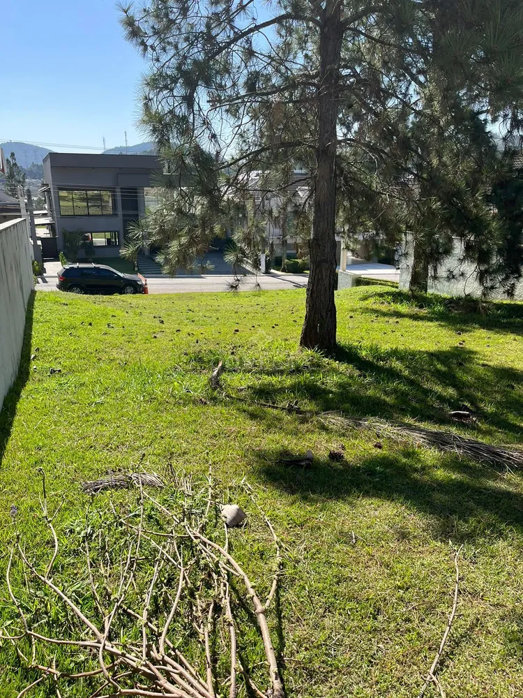 Terreno, 650 m² - Foto 4