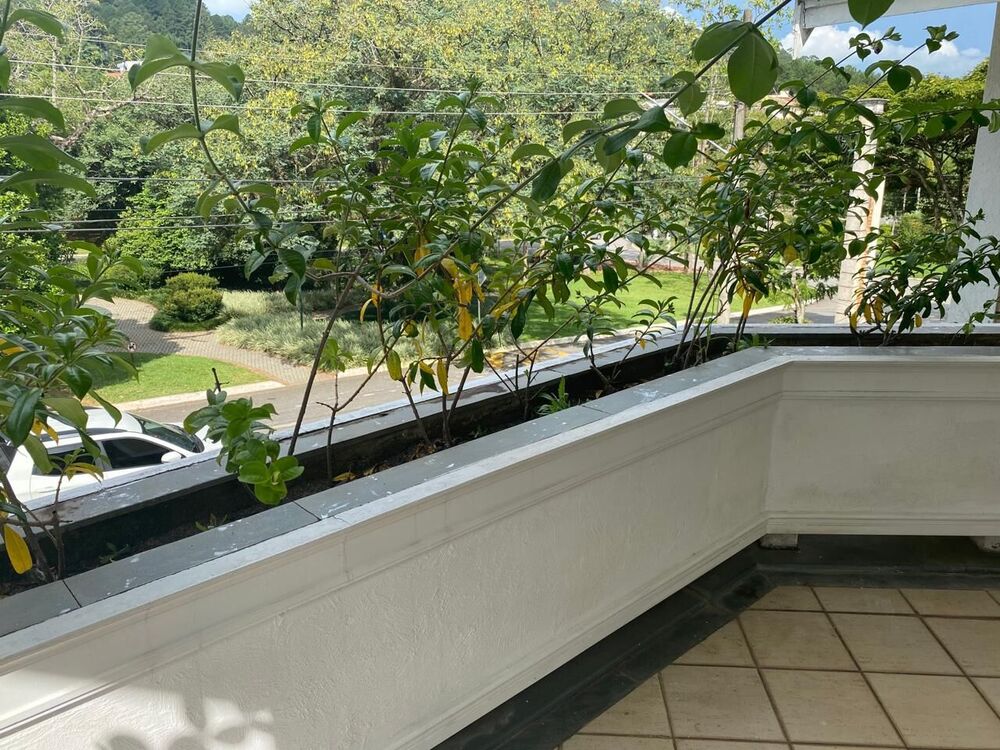 Casa, 4 quartos, 659 m² - Foto 3