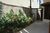 Casa, 4 quartos, 500 m² - Foto 3