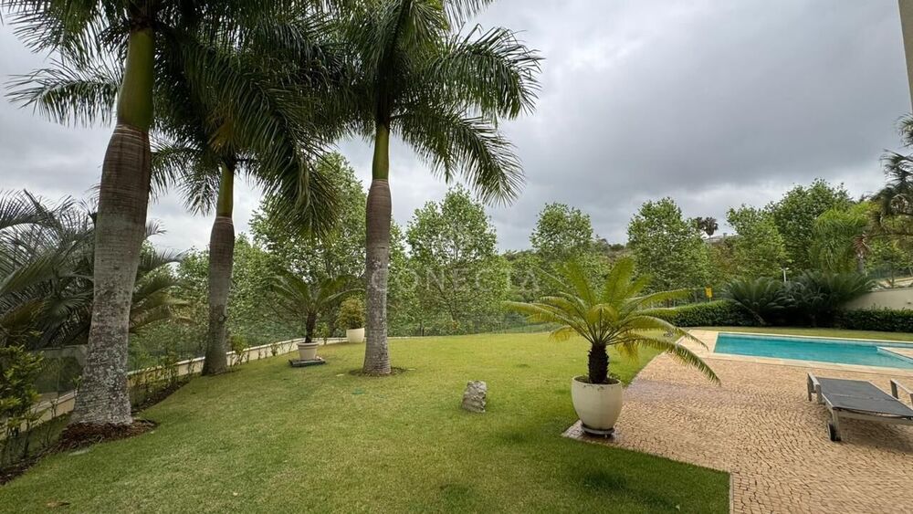 Casa, 4 quartos, 990 m² - Foto 35