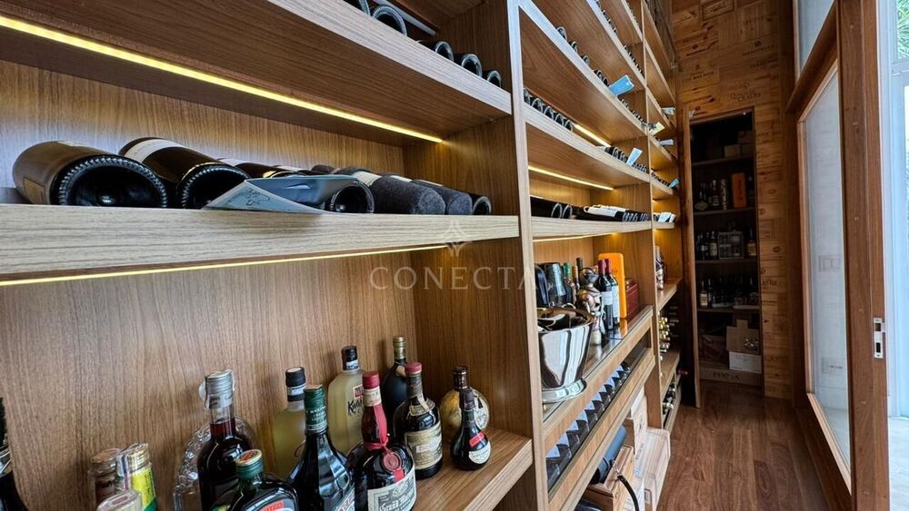 Casa, 4 quartos, 990 m² - Foto 19