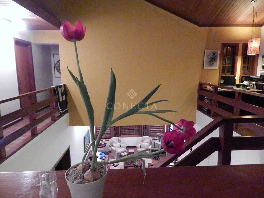 Casa, 4 quartos, 295 m² - Foto 4