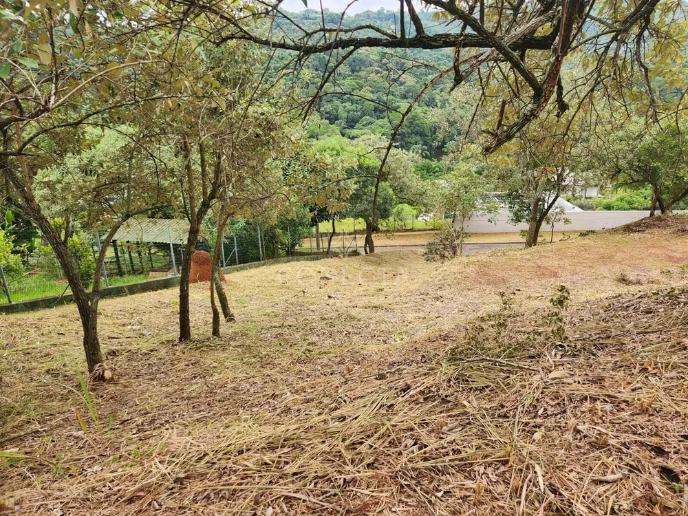 Terreno, 2519 m² - Foto 4