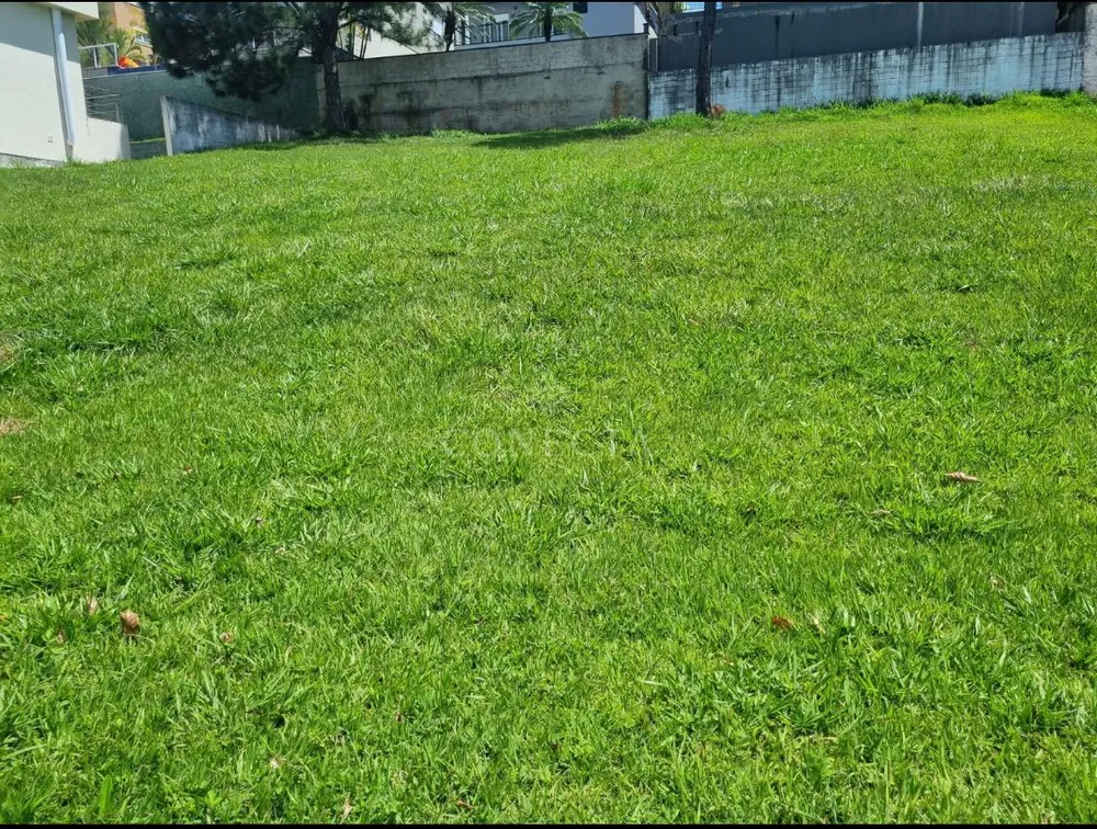 Terreno, 441 m² - Foto 3