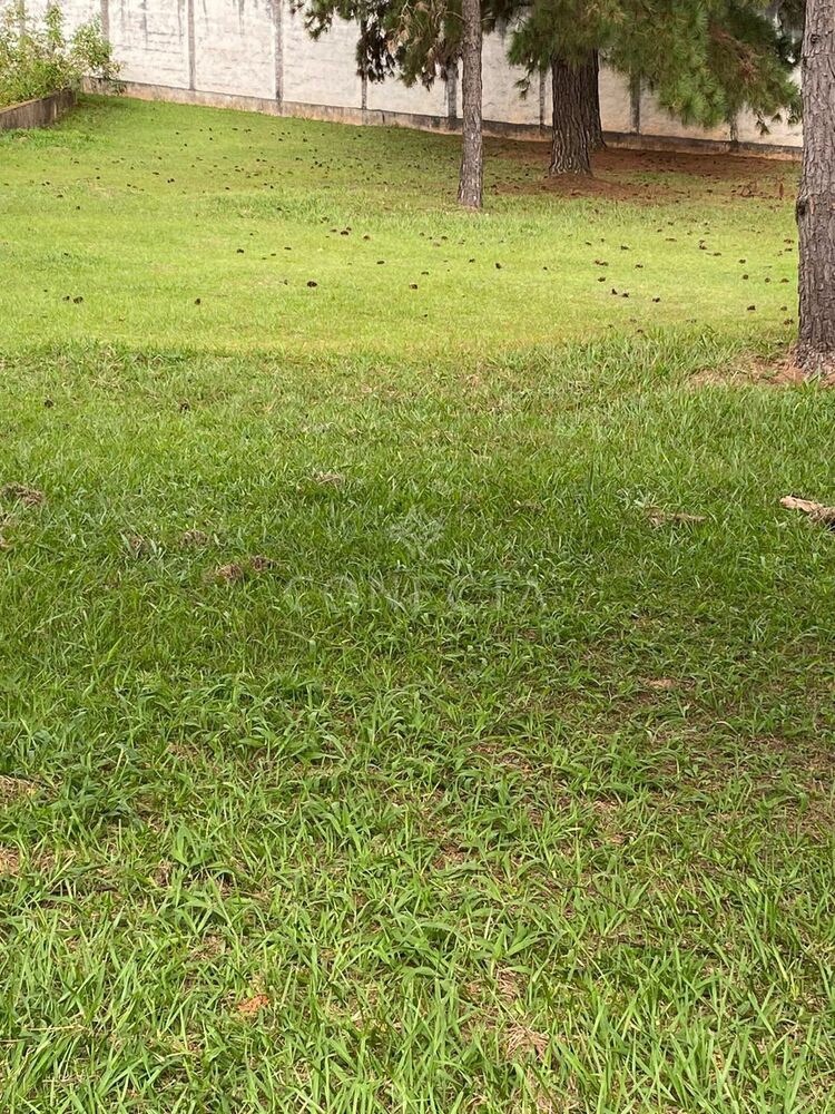 Terreno, 657 m² - Foto 3