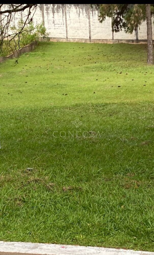 Terreno, 657 m² - Foto 2