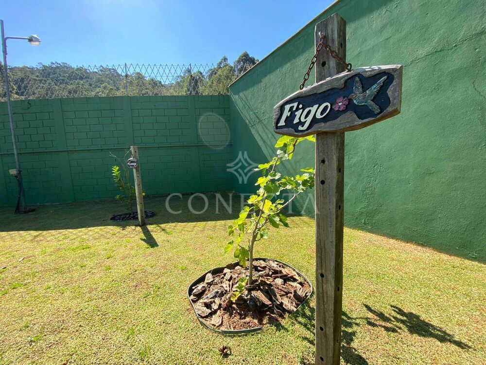Casa, 4 quartos, 1500 m² - Foto 4