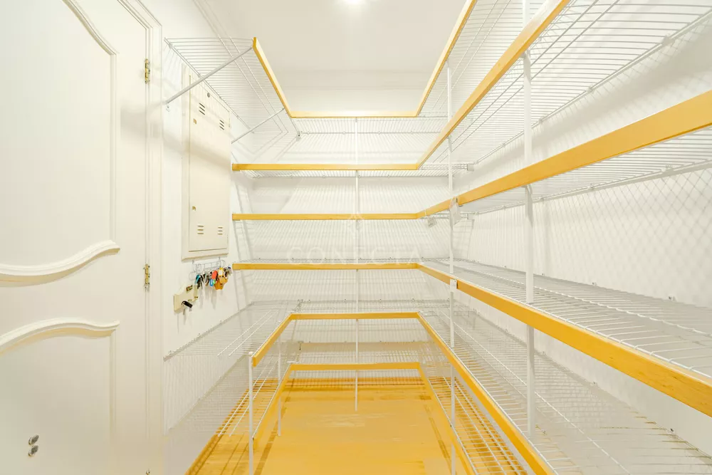 Casa, 4 quartos, 584 m² - Foto 1