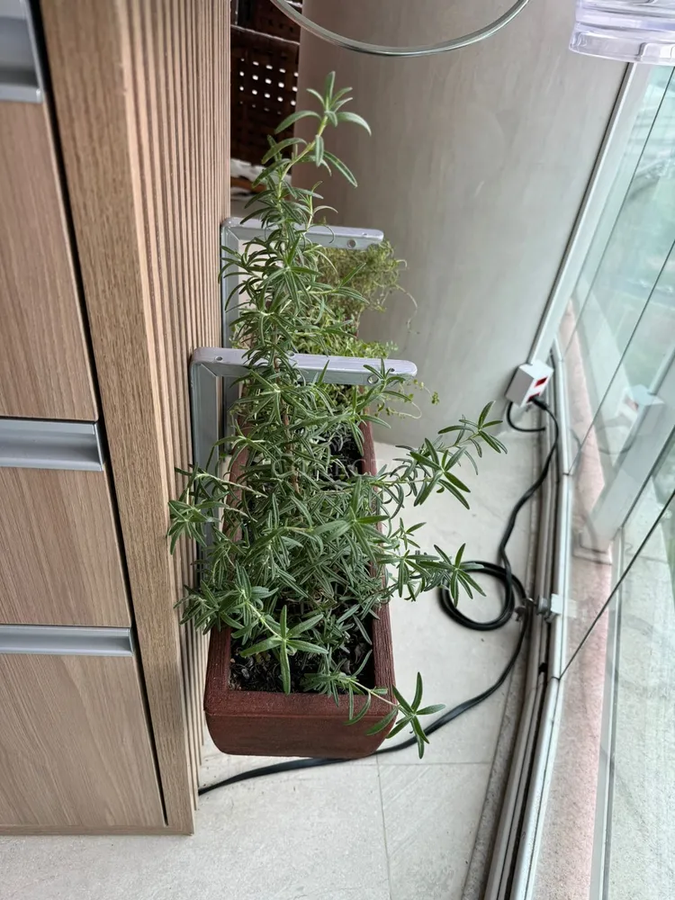 Apartamento, 4 quartos, 268 m² - Foto 5