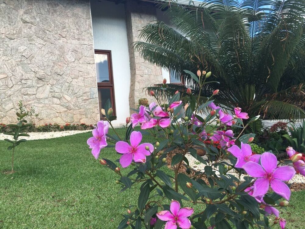 Casa, 3 quartos, 259 m² - Foto 3