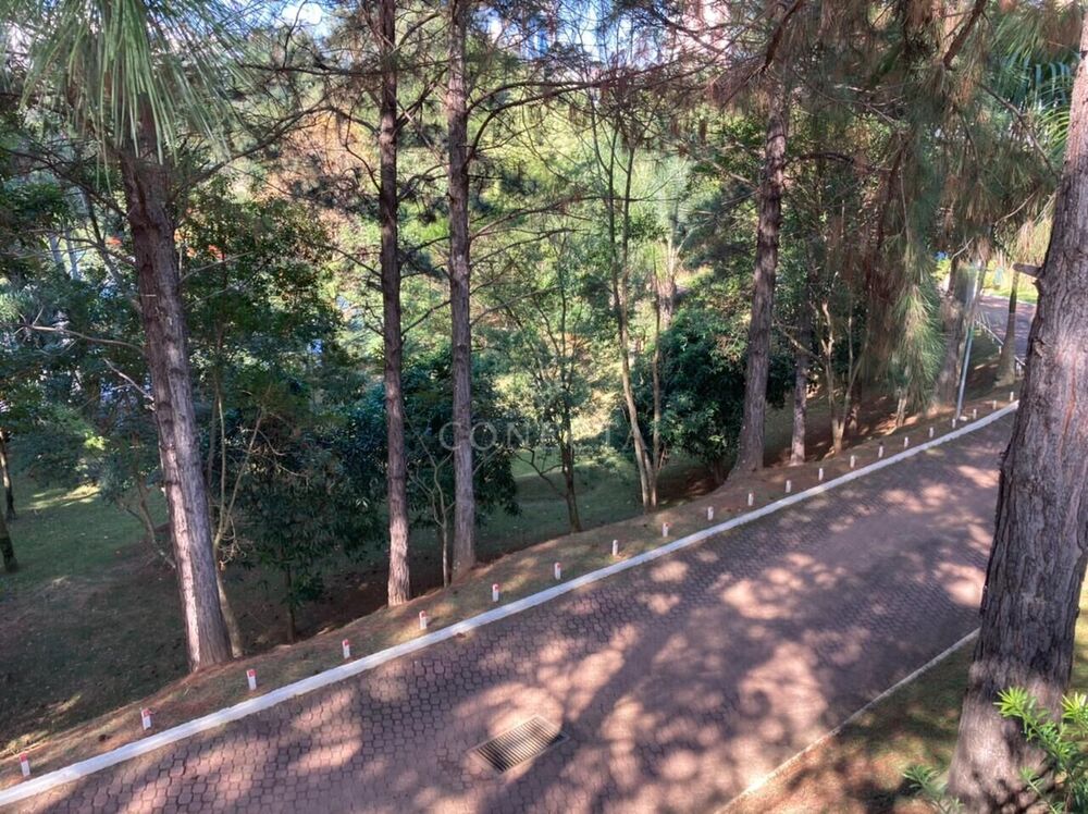 Casa, 4 quartos, 509 m² - Foto 27