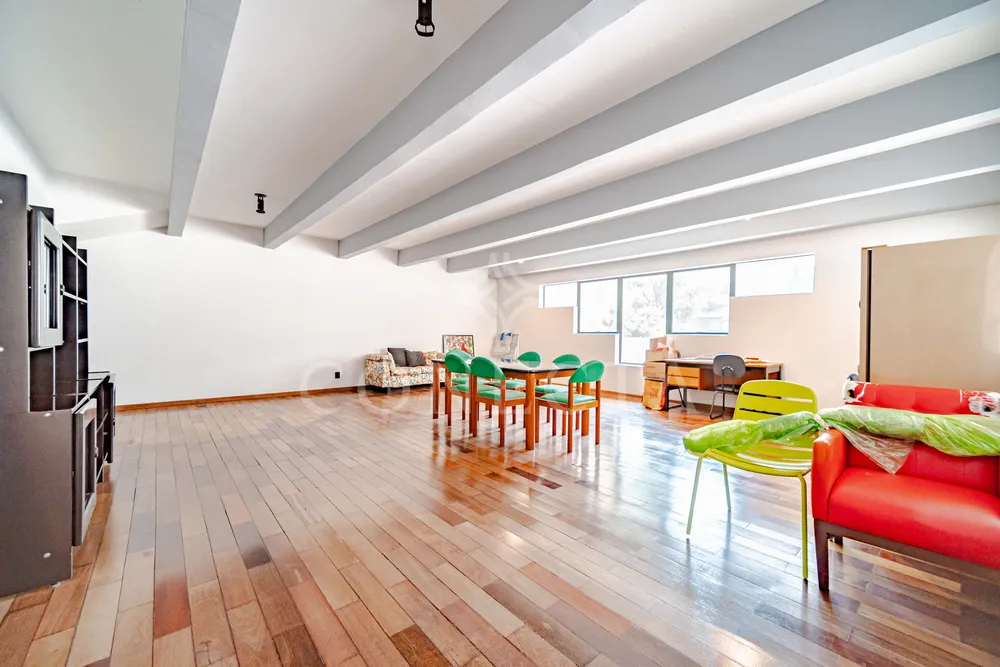 Casa, 4 quartos, 650 m² - Foto 4
