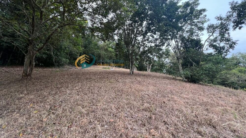 Terreno à venda, 19849m² - Foto 10