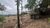 Terreno, 2 hectares - Foto 3