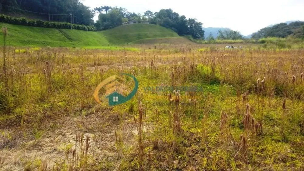 Terreno, 5 hectares - Foto 8