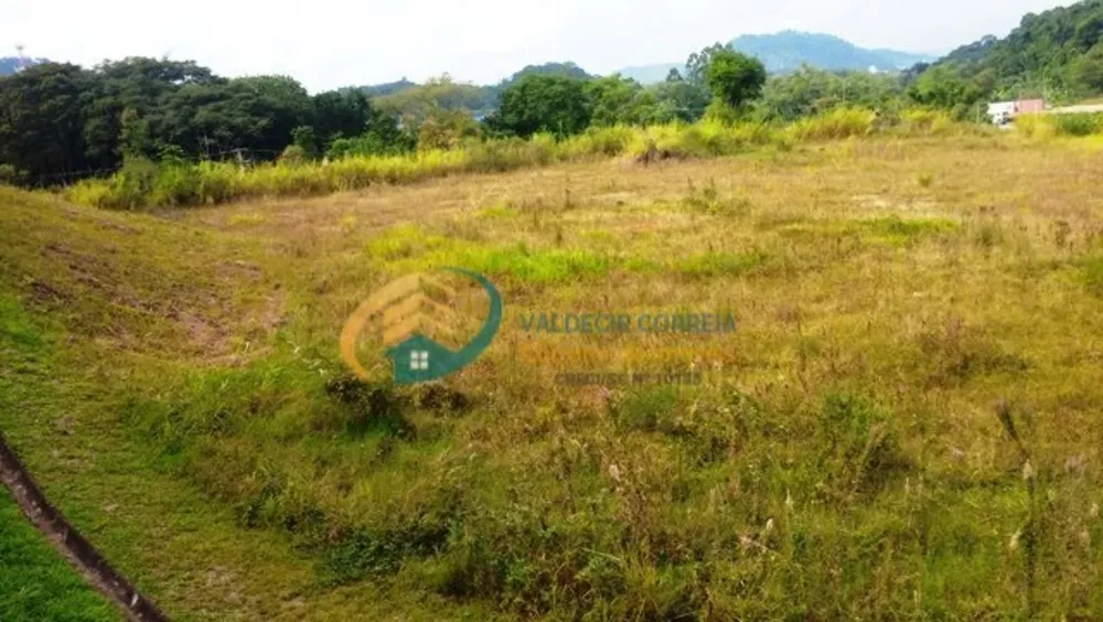 Terreno, 5 hectares - Foto 4