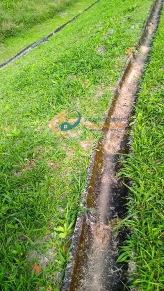 Terreno, 5 hectares - Foto 11