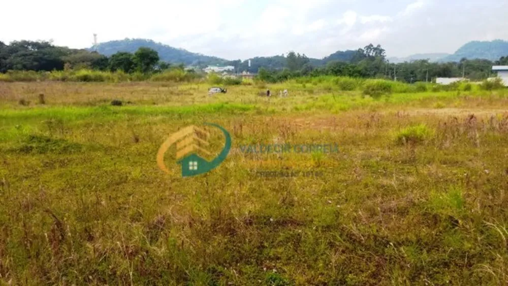 Terreno, 5 hectares - Foto 10