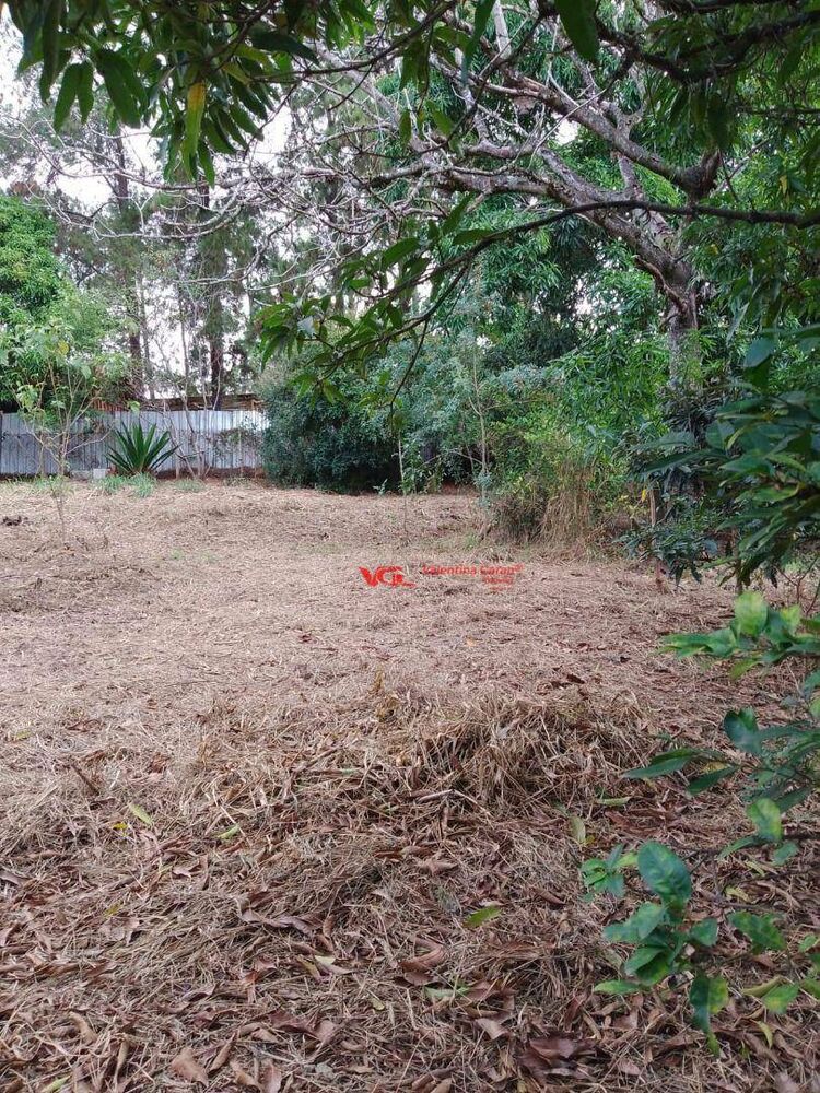 Chácara, 1 quarto, 1400 m² - Foto 8