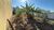 Terreno, 300 m² - Foto 2