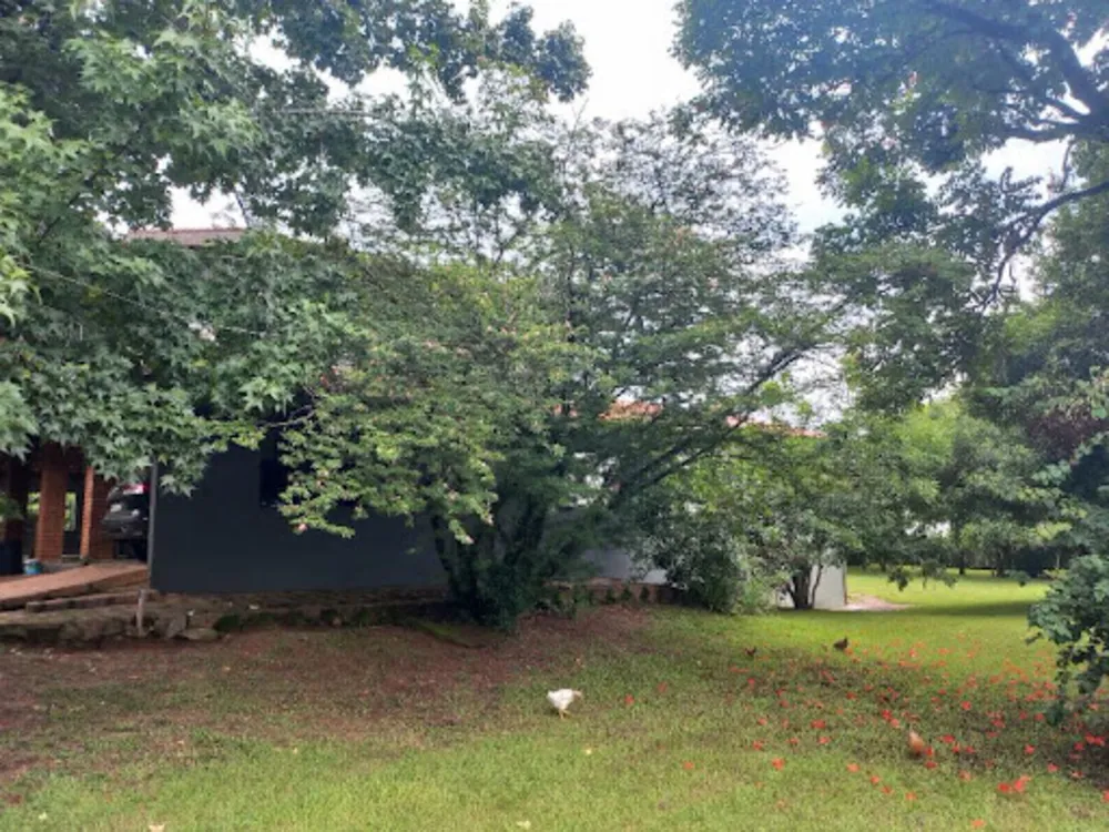 Chácara, 4 quartos, 3936 m² - Foto 12