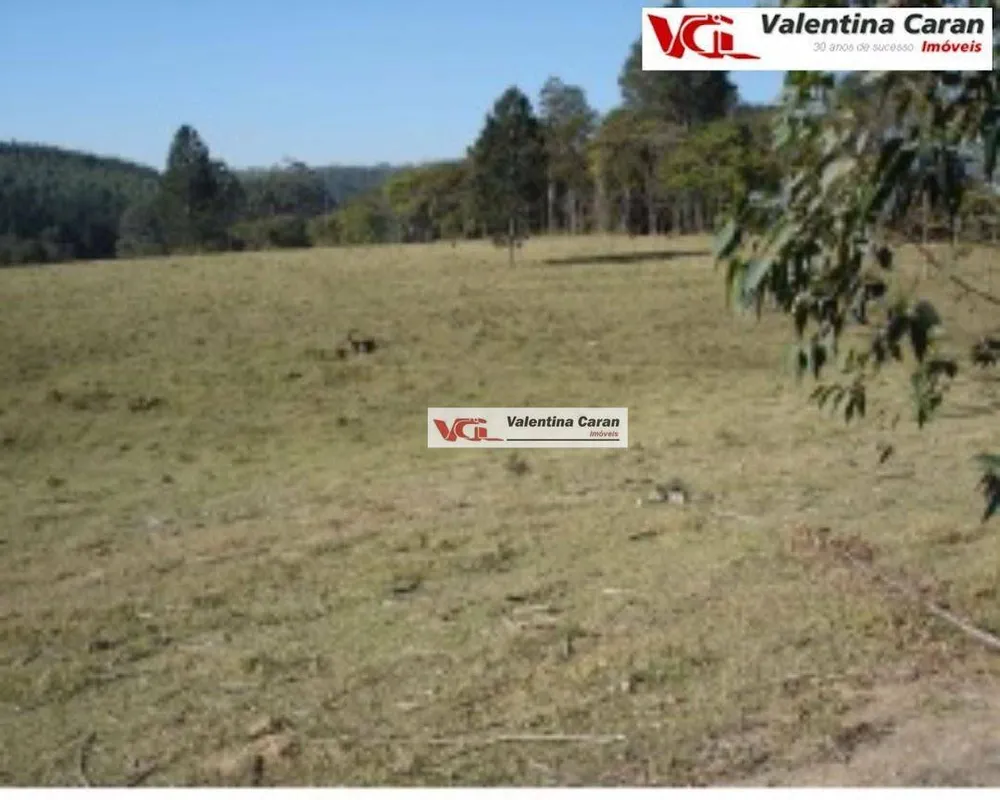 Fazenda, 45 hectares - Foto 5