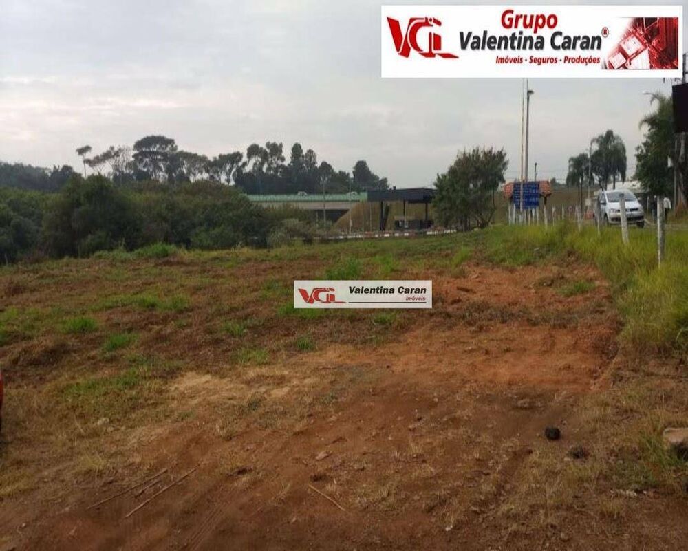 Terreno, 3 hectares - Foto 2