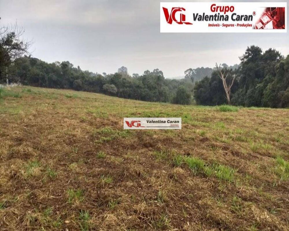 Terreno, 3 hectares - Foto 1