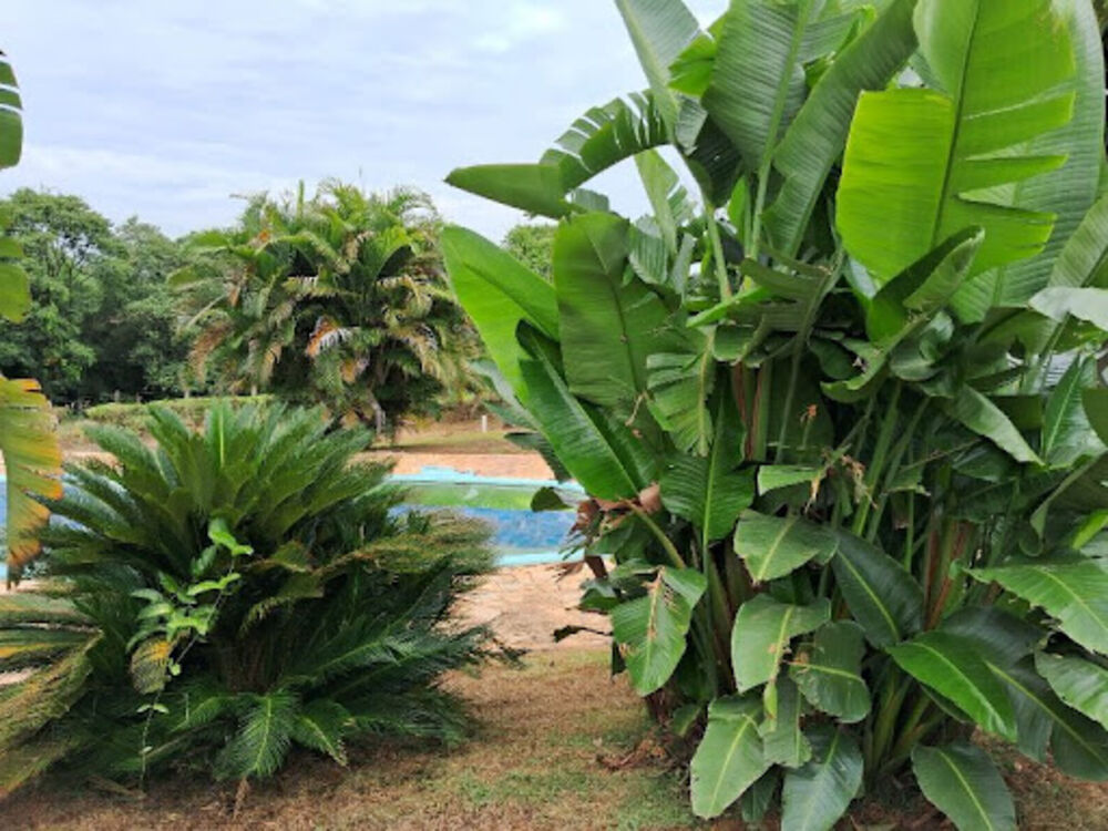 Sítio à venda com 3 quartos, 200m² - Foto 7