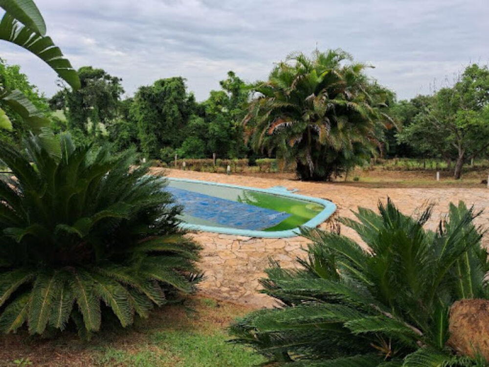 Sítio à venda com 3 quartos, 200m² - Foto 6