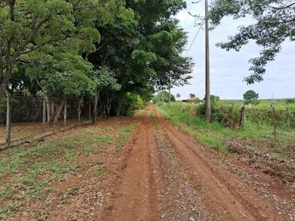 Sítio, 3 quartos, 2 hectares - Foto 16