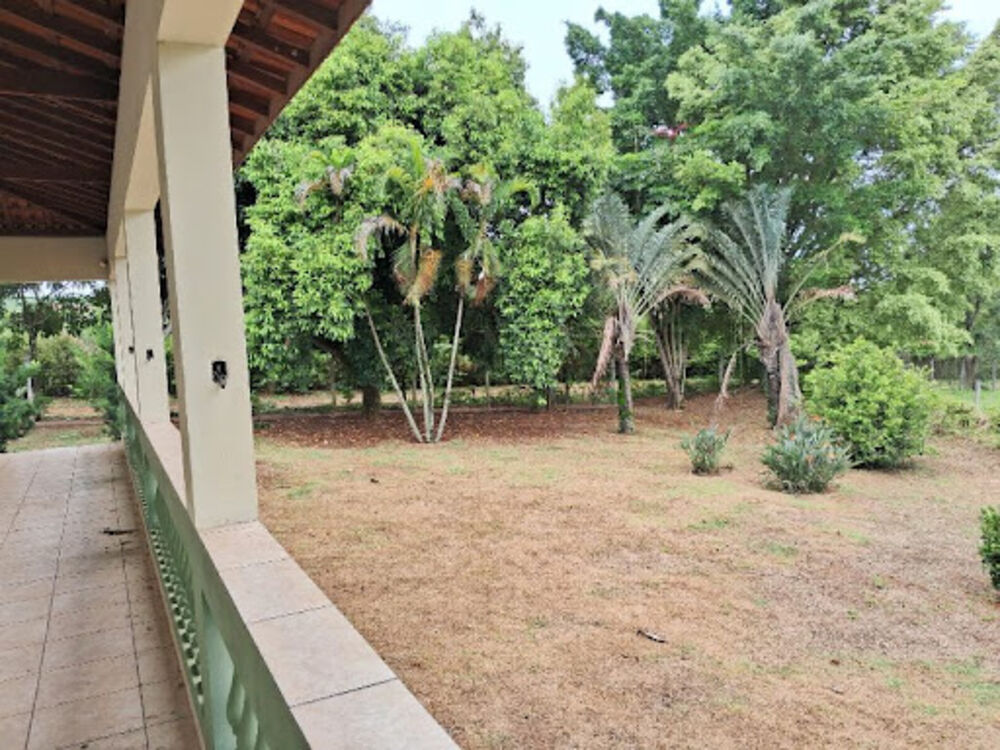 Sítio, 3 quartos, 2 hectares - Foto 2