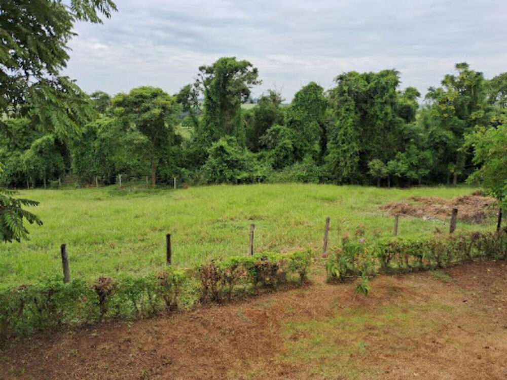 Sítio, 3 quartos, 2 hectares - Foto 9