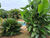 Sítio, 3 quartos, 2 hectares - Foto 7