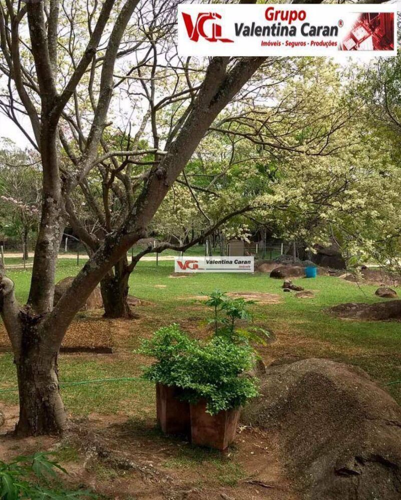 Sítio, 4 quartos, 5 hectares - Foto 3