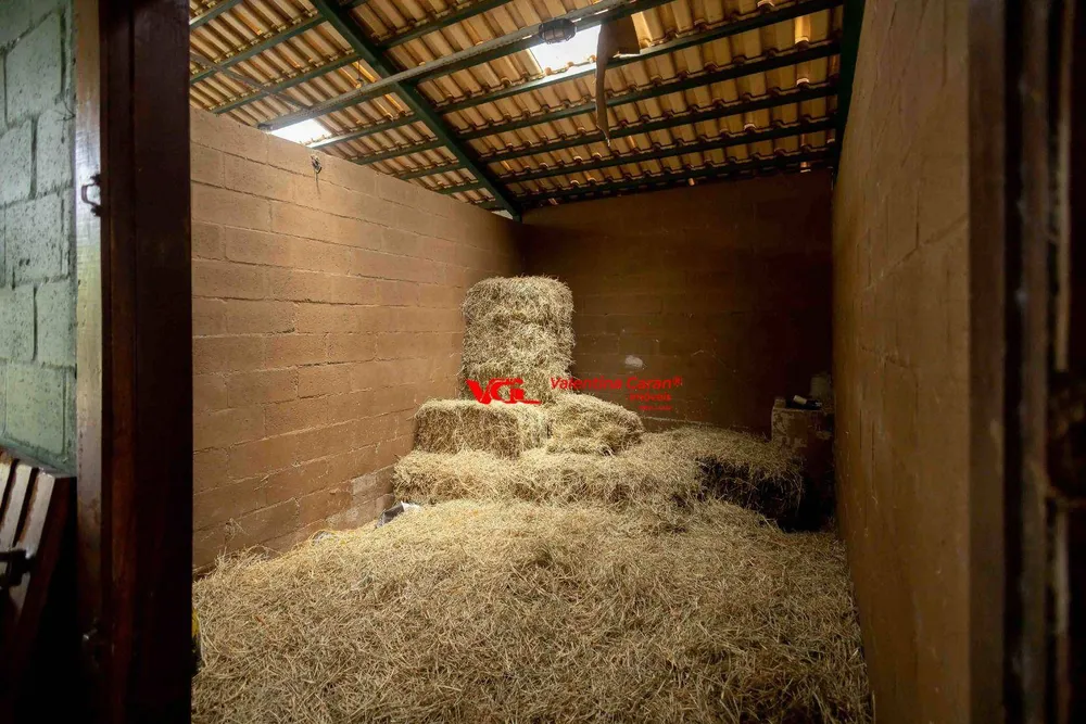 Casa, 4 quartos, 900 m² - Foto 4
