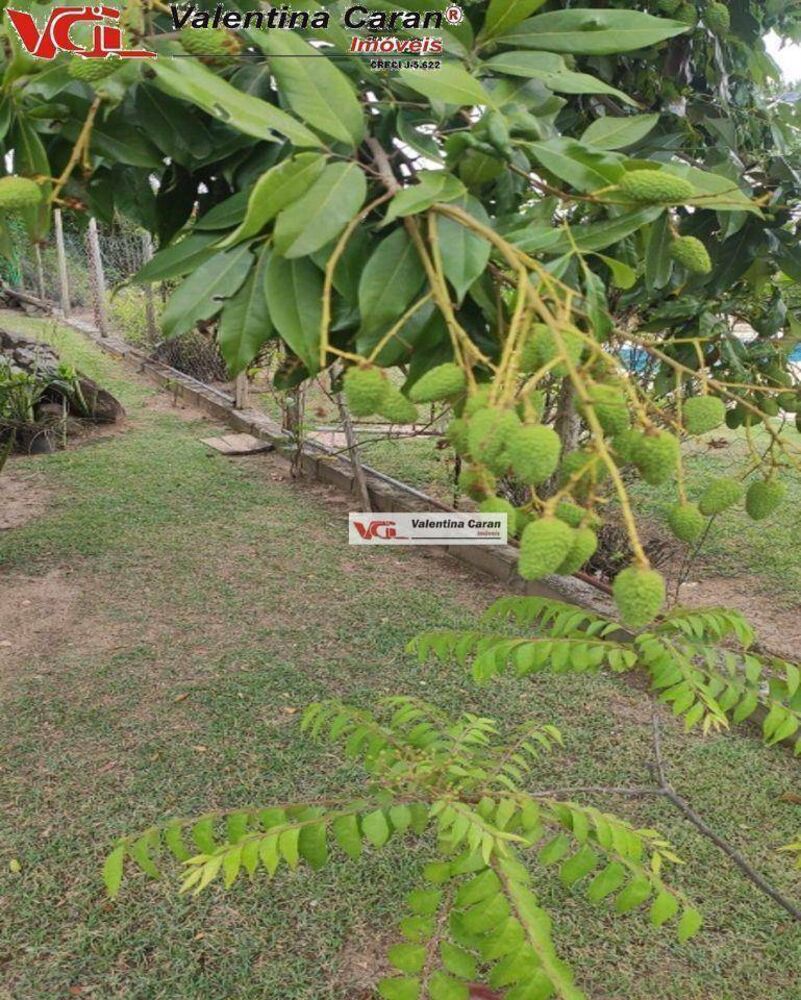 Chácara à venda com 3 quartos, 300m² - Foto 4