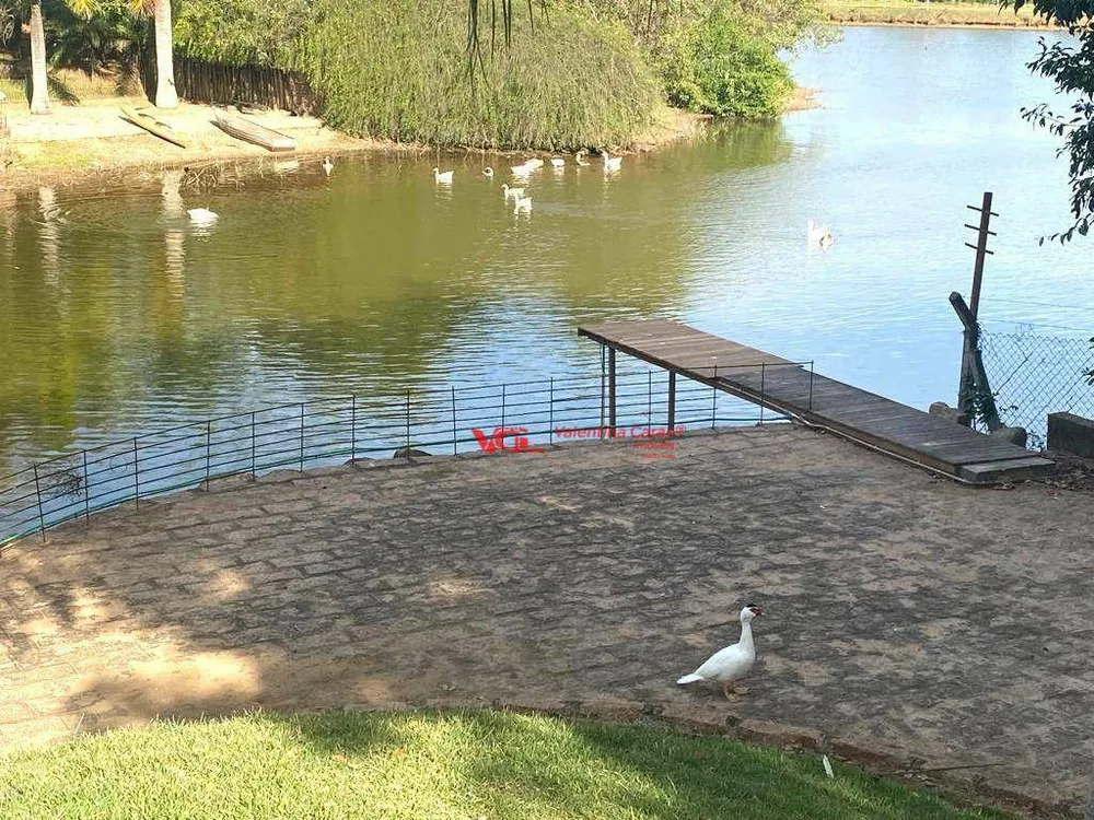 Chácara, 4 quartos, 5000 m² - Foto 10