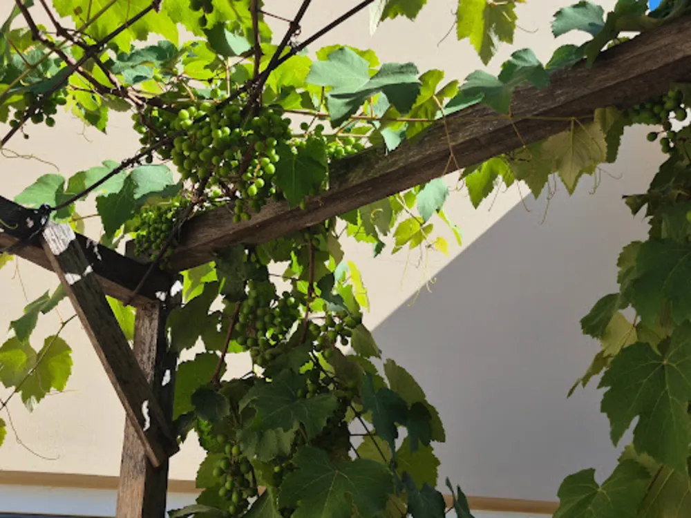 Sobrado, 3 quartos, 204 m² - Foto 12