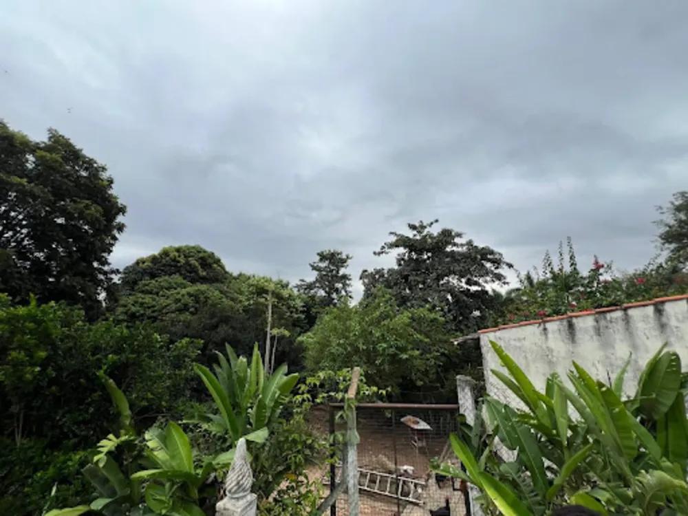 Chácara, 3 quartos, 3 hectares - Foto 6