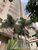 Apartamento, 3 quartos, 85 m² - Foto 1