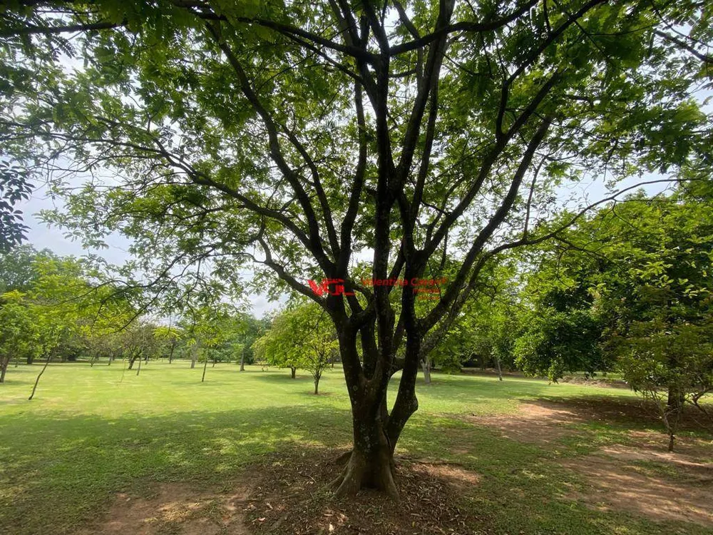 Chácara, 6 quartos, 5 hectares - Foto 18