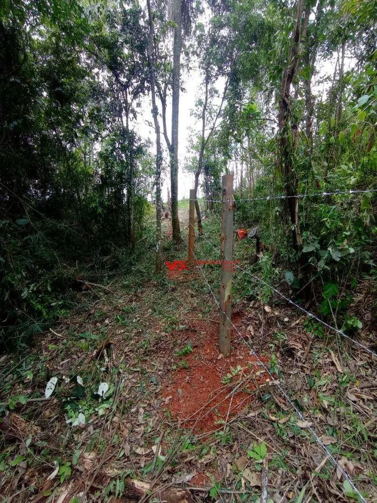 Terreno, 4 hectares - Foto 4