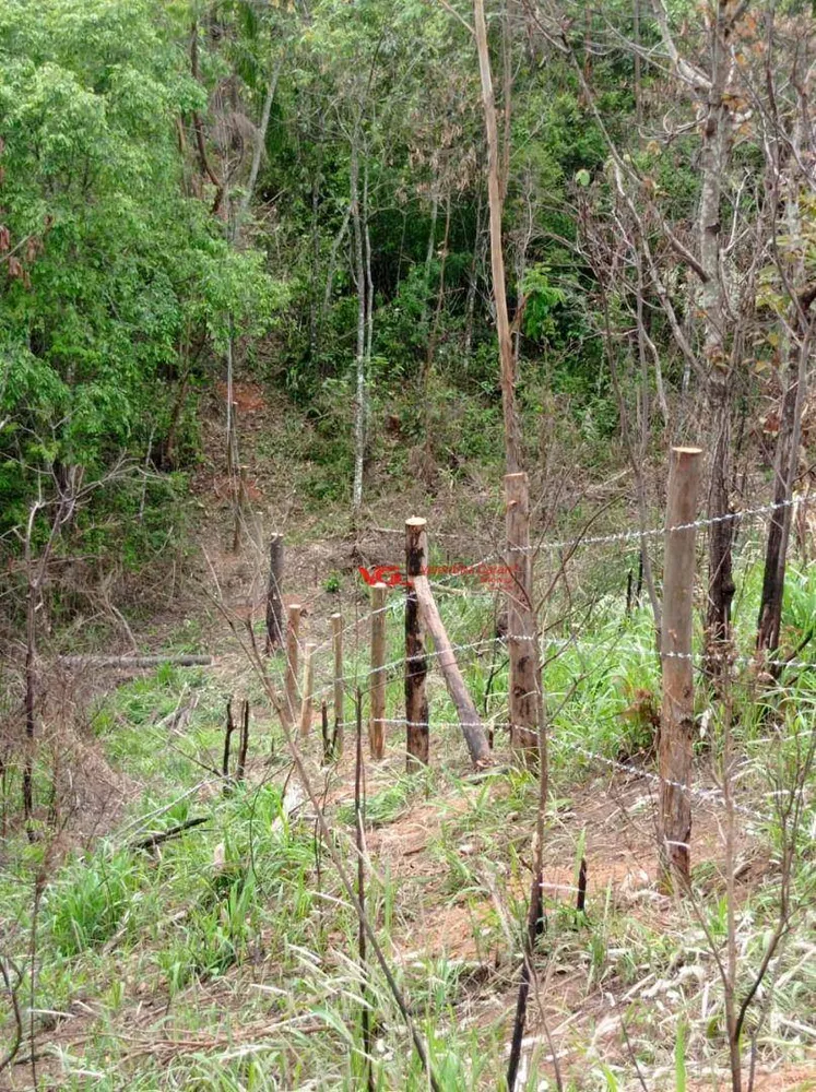 Terreno, 4 hectares - Foto 8