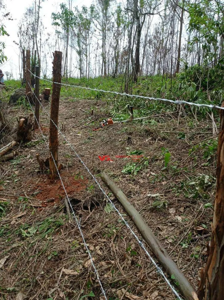 Terreno, 4 hectares - Foto 6