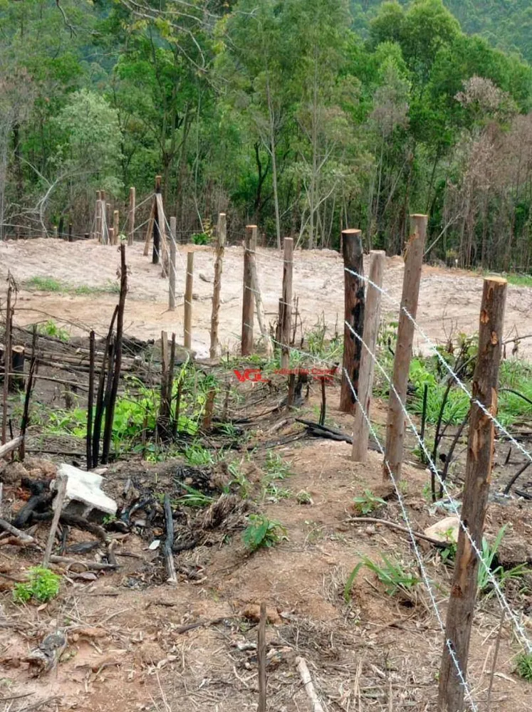 Terreno, 4 hectares - Foto 7