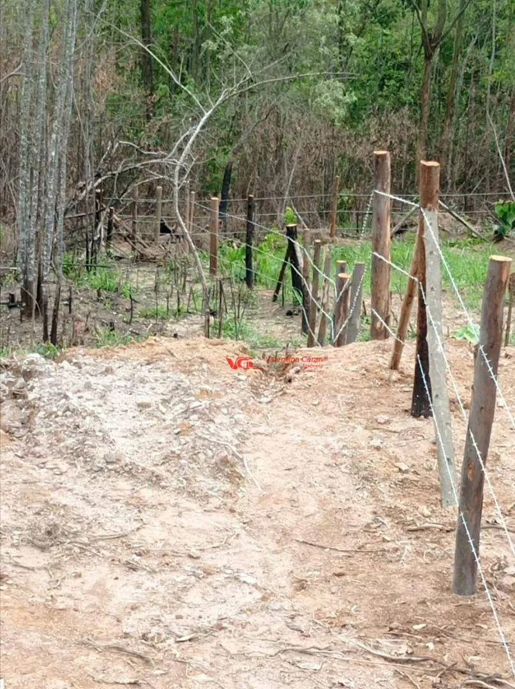Terreno, 4 hectares - Foto 2