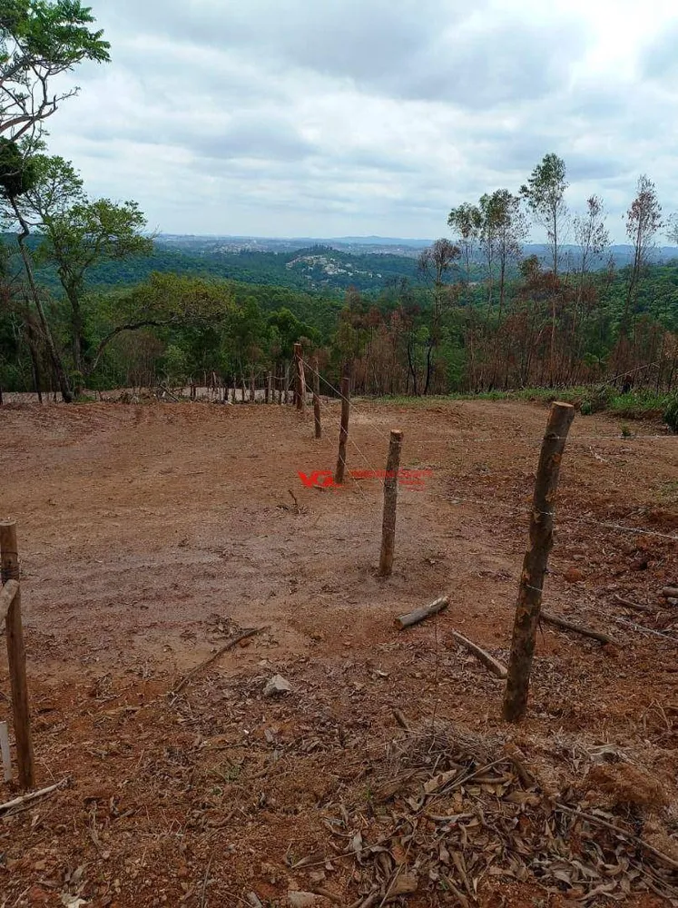 Terreno, 4 hectares - Foto 1