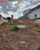 Terreno, 250 m² - Foto 3